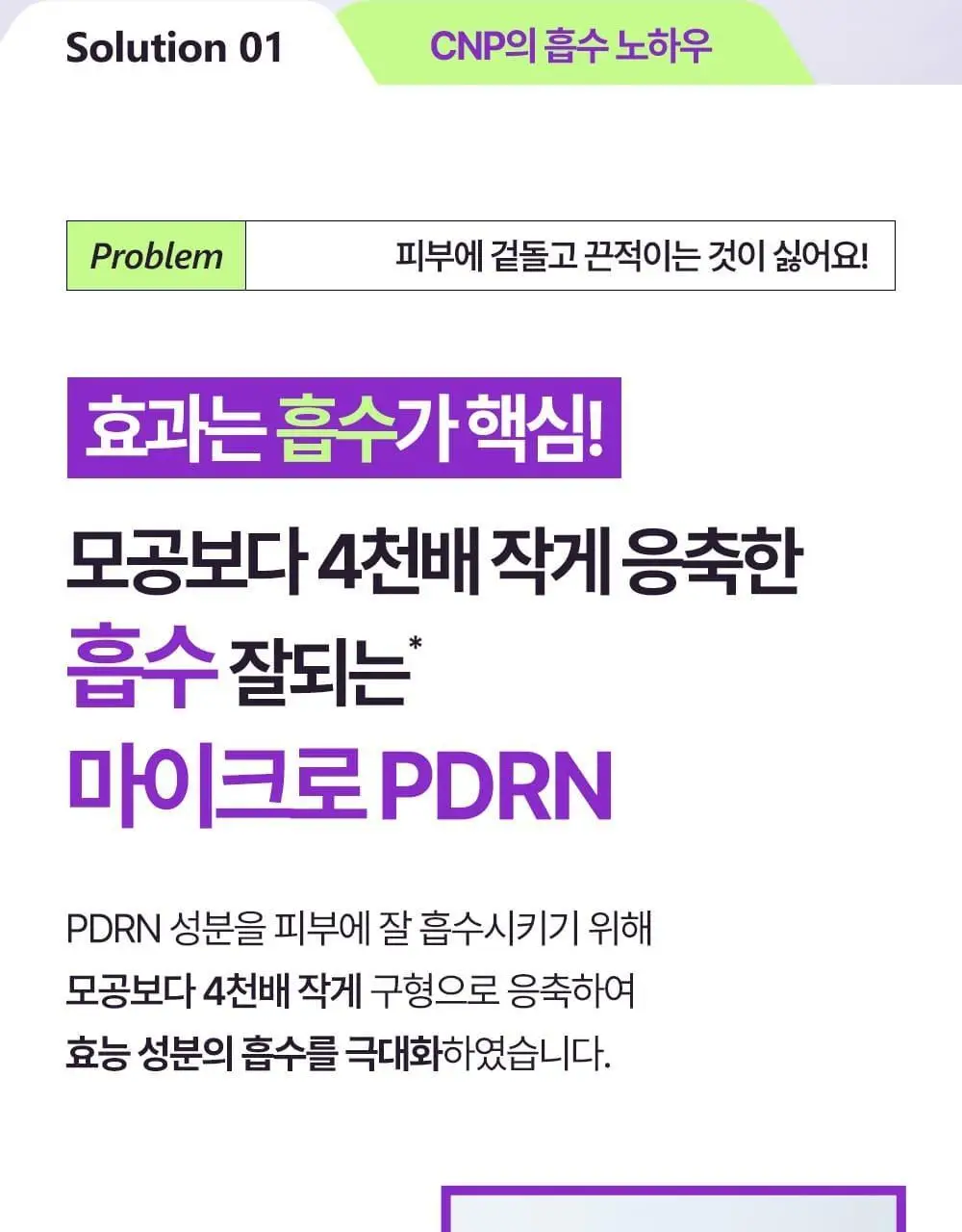 [탄력콜라겐UP/1+1] 차앤박 더마앤서 액티브 부스트 PDRN 앰플 30ml 더블기획 상세페이지 5
